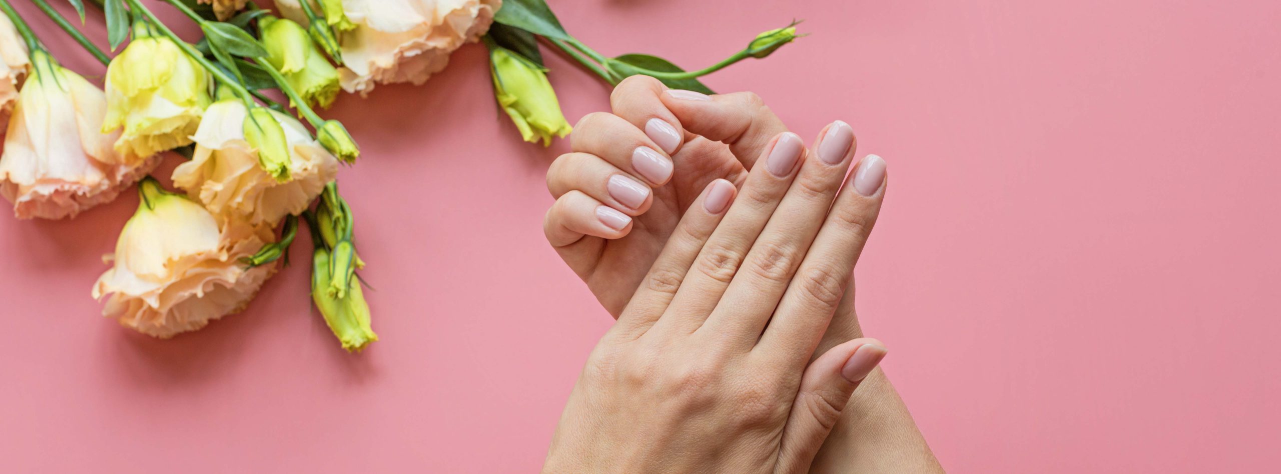 woman-hands-manicure-manicured-nails-gel-polish-fa-MCCBCFJ